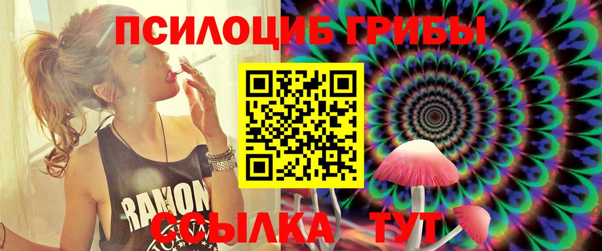 Галлюциногенные грибы Psilocybine cubensis  Псилоцибиновые грибы мицелий  Вход с VPN  Норильск 